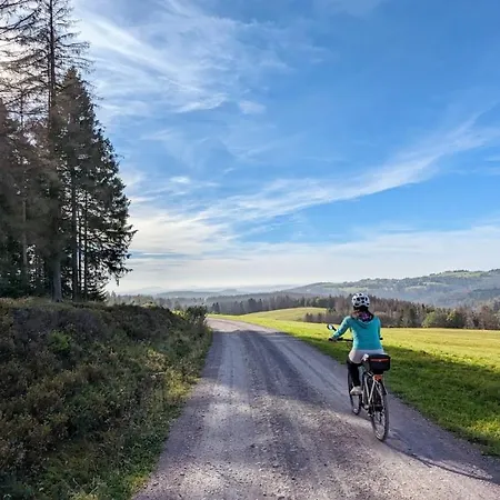 Gaestehaus Fehrenbacher Schweiz Daire Masserberg
