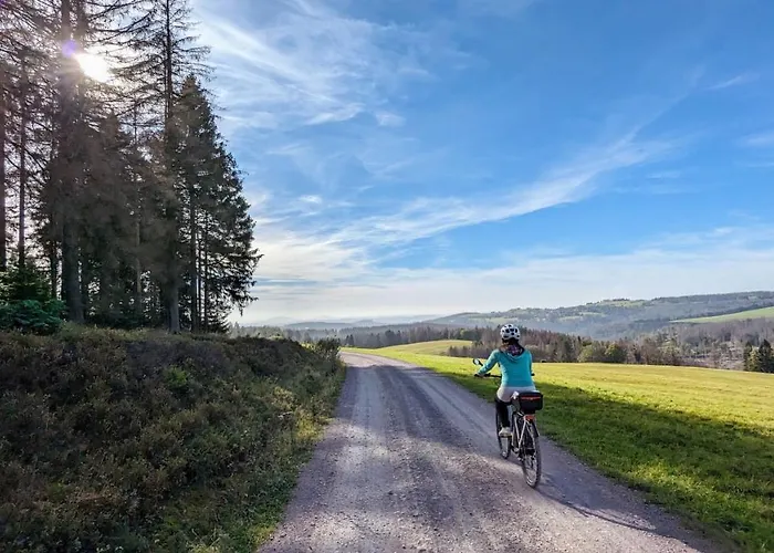 Gaestehaus Fehrenbacher Schweiz Daire Masserberg