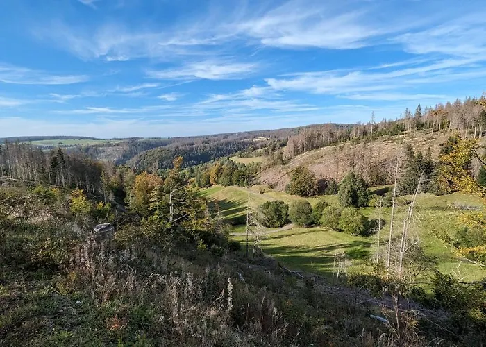 Gaestehaus Fehrenbacher Schweiz Daire Masserberg